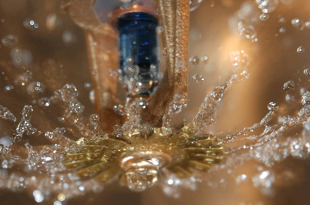 Feuersprinkler